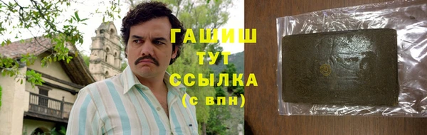 PSILOCYBIN Алзамай