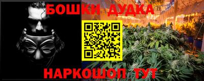 mdpv Лесосибирск