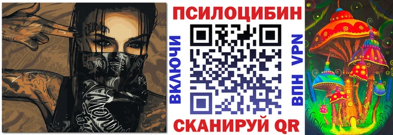 blacksprut вход  Десногорск  Псилоцибиновые грибы мухоморы 